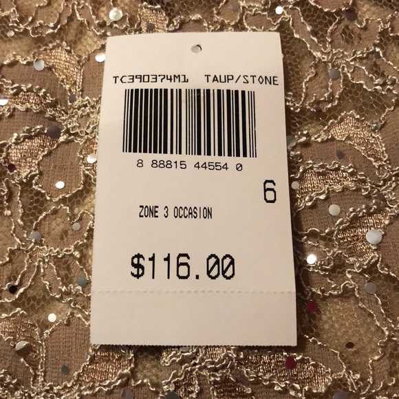 Metallic Lace Dress - Picture 7 of 7